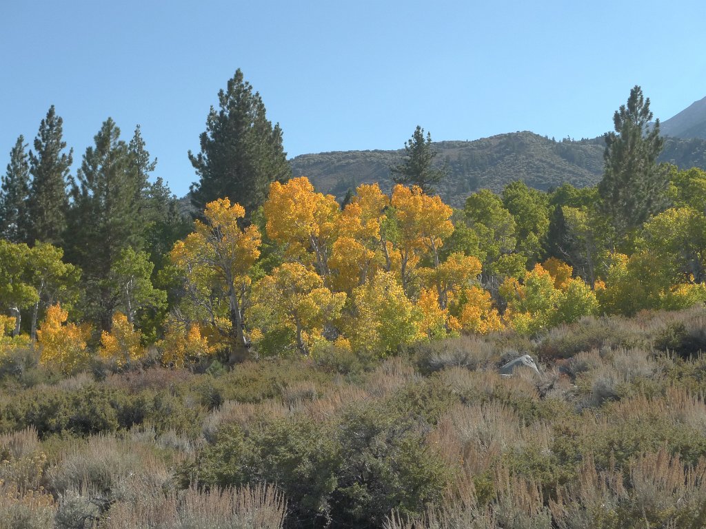 California-Fall2010 616.JPG